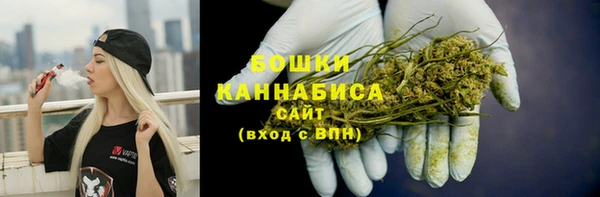 скорость Болотное