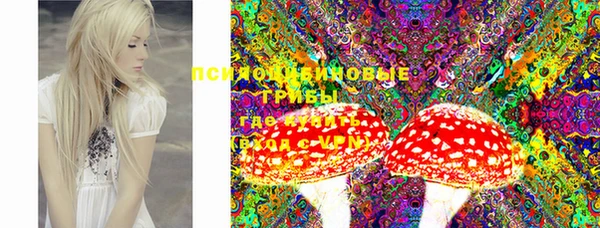 бошки Новокубанск