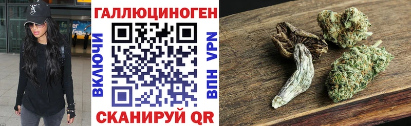 Галлюциногенные грибы Psilocybine cubensis  Краснокамск 