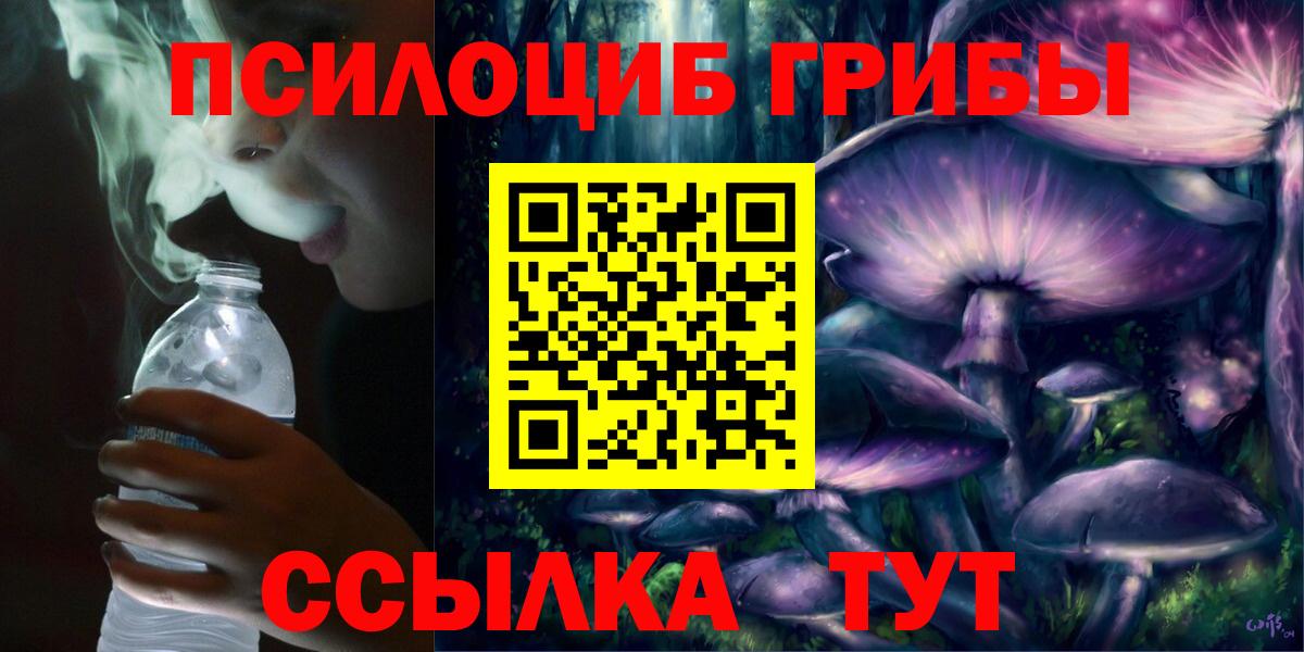 Псилоцибиновые грибы мицелий Краснокамск