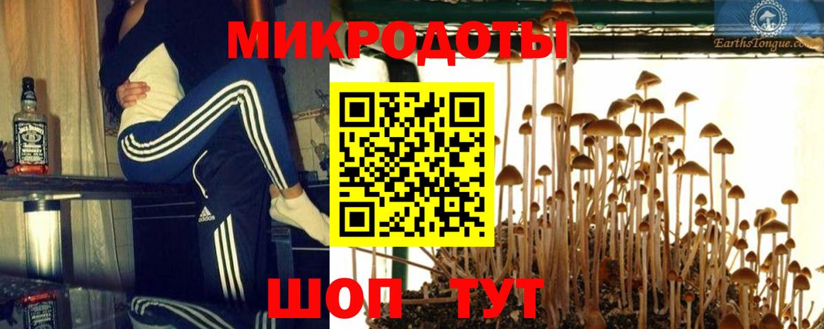 Псилоцибиновые грибы Psilocybe  Вход с VPN  Краснокамск  Псилоцибиновые грибы MAGIC MUSHROOMS 